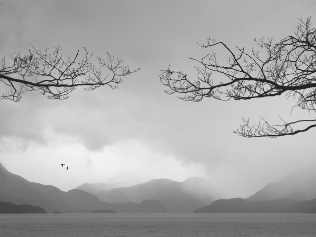 &copy; Ricardo Da Cunha