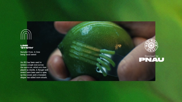 In one of the more ambitious collaborations to come across the news desk at Food & Drink Business, PepsiCo has partnered with Australian band, Pnau, to launch Red Rock Deli&rsquo;s new platform, Awaken your Senses, by releasing a track featuring sounds made by the ingredients.