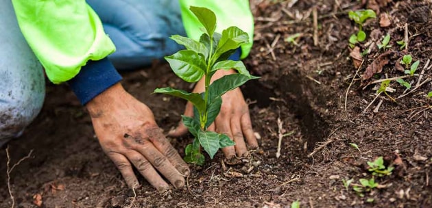 Nestl&eacute; is investing $1.77 billion to transition to a regenerative food system, including a new living income program for farmers in its value chain, over the next five years, impacting more than 500,000 farmers and 150,000 suppliers. (Source: Nestl&eacute;)