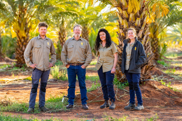 South Australian organic food producers of Medjool dates and strawberries are two of the recipients in the lastest funding round of Woolworths&rsquo; Organic Growth Fund.
Pic;Gurra Downs Date Company - Reilly Family: Shaun, Dave, Anita, Kelsey
