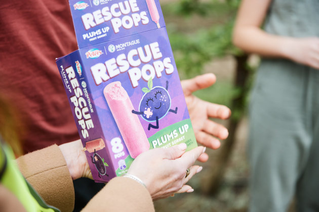Rescue Pops are frozen fruit sorbet sticks made from rescued plums that were destined for landfill.