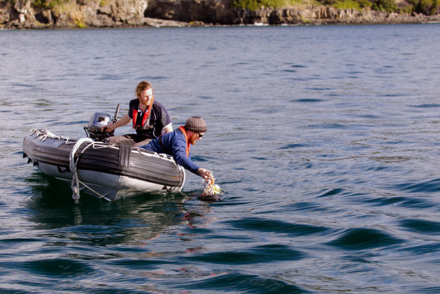 Australian Maritime College AUV engineers Reuben Kent and Isak Bowden-Floyd deploy an autonomous underwater vehicle off the off Five Mile Bluff in Tasmania (Photo credit: Damien Guihen/AMC)