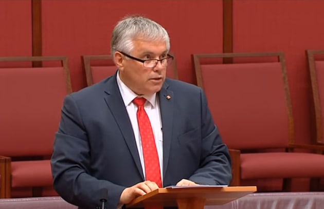 Rex Patrick of the Centre Alliance. (still from APH feed)