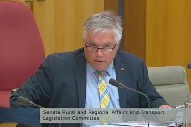 Senator Rex Patrick championed the cause of Angel Flight in Senate Estimates earlier this year. (still from Parliament House feed)