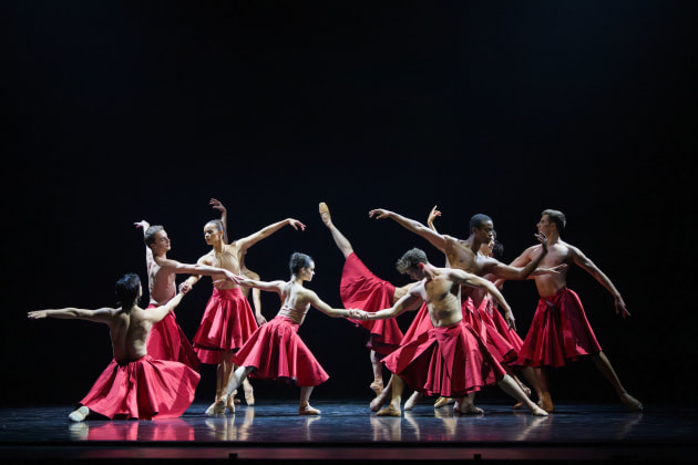 'Requiem for a Rose'. Photo by Stephen A'Court.