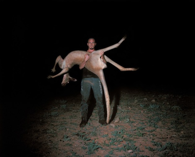 Roo shooter's offsider, 2017 by Adam Ferguson. Dwayne John, aged 30 from Broken Hill, works as a kangaroo shooter&rsquo;s offsider. 70 times a night, after a roo jolts and falls in the spotlight, Dwayne hauls the carcass onto the back of a truck. I made this picture of Dwayne in the early hours of a hot morning on Plumbago Station in South Australia. To me, Dwayne holding this kangaroo symbolises the human attempt to tame the land.