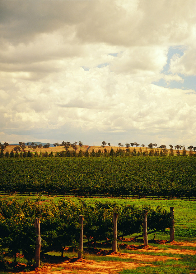 Windowrie - family-owned vineyard and winery specializing in organic and preservative-free wines with a new focus on low-alcohol style wines.

Food Futures Company, Grow, and Austrade have selected eight agrifoodtech food and beverage companies as the inaugural cohort of GROW2Asia, a program to fast-track expansion into Asia.