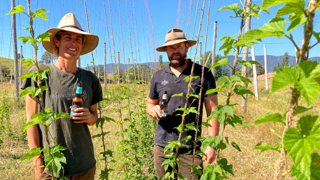 4 Pines&rsquo; project with Landcare will develop a sustainability project for Ryefield Hops farm
