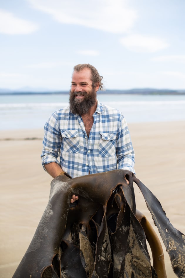 Australia&rsquo;s largest integrated cattle and beef producer Australian Agricultural Company (AACo) is partnering with seaweed manufacturer Sea Forest to reduce methane emissions from its cattle. (Image source: Sea Forest)