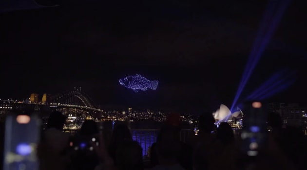500 choreographed drones lit up the night sky as part of the new Elevate Sydney festival across five nights in early January. (Mirragin)