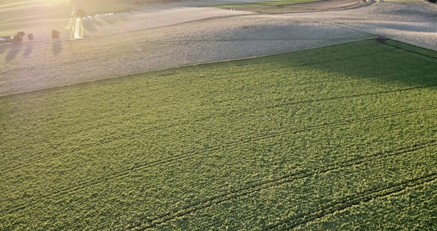 Simplot Australia says a $65 million upgrade to its Bathurst manufacturing facility in New South Wales&rsquo; Central West will transform the site into a frozen vegetable centre of excellence. (Image source: Simplot Australia website)