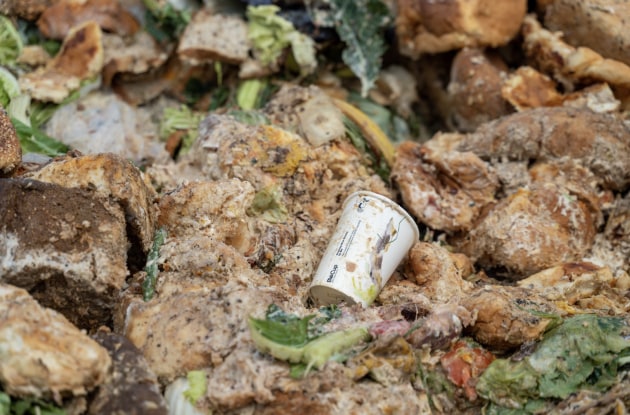 A new study in South Australia has shown that composting food waste and compostable packaging through council-provided kerbside FOGO (Food Organics and Garden Organics) bins is an effective waste management solution.
Source: BioPak