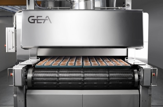 Global systems supplier, GEA, is producing preassembled oven modules for quicker installation at customers' plants, reducing installation time to as little as 20 days.
Source: GEA