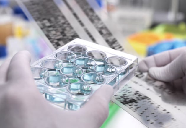 Australian supply chain integrity company, Source Certain, has acquired United Kingdom-based isotope analysis company, Agroislab UK Ltd, to expand its global presence.
Source: Getty Images
