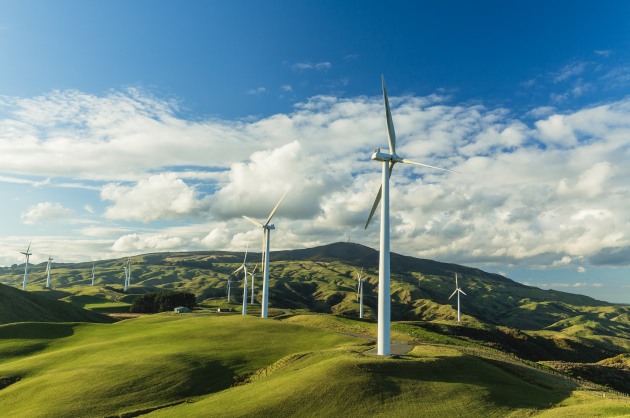 Ingredient solutions company, Tate & Lyle, has signed an agreement with Alabama Power for the provision of renewable electricity at its sucralose plant.
Source: Getty Images