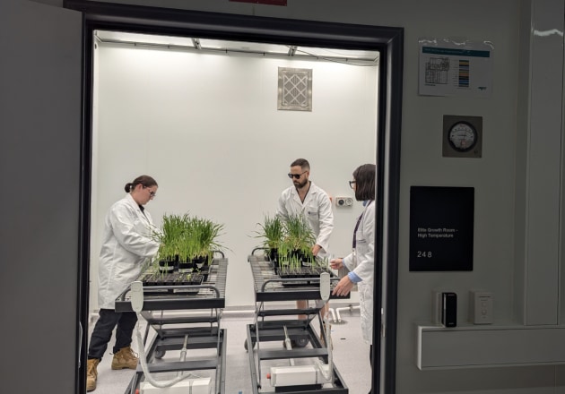 The University of Queensland (UQ) is working to improve crop productivity and secure future food supplies with its new $65 million Plant Futures Facility. Pictured is the inside of one of the building's Grow Rooms.
Source: UQ