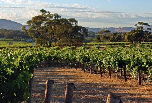 Wine Australia and Australian Grape & Wine have teamed up once again to search for the next generation of change-makers in Australia&rsquo;s grape and wine sector, opening up applications for leadership development program, Future Leaders 2025.
Source: Thinkstock