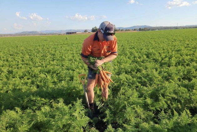 Hort Innovation has launched a new R&D program aiming to increase the daily vegetable consumption of Australians by one serve a day, which the organisation says could contribute $3.3 billion across the vegetable supply chain.
Source: Hort Innovation