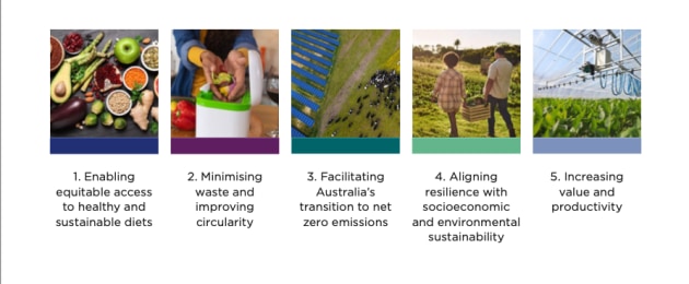 To drive progress, five system-wide focal areas have been identified through consultations. They include 2030 targets and 2050 goals.