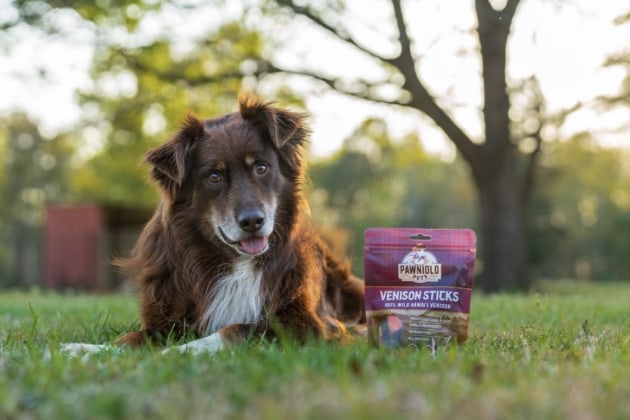 Pawniolo Pets packaging created in collaboration with TIPA Compostable Packaging, WildKind Packaging, Miki and Nick Vericella, and Mario Patino.