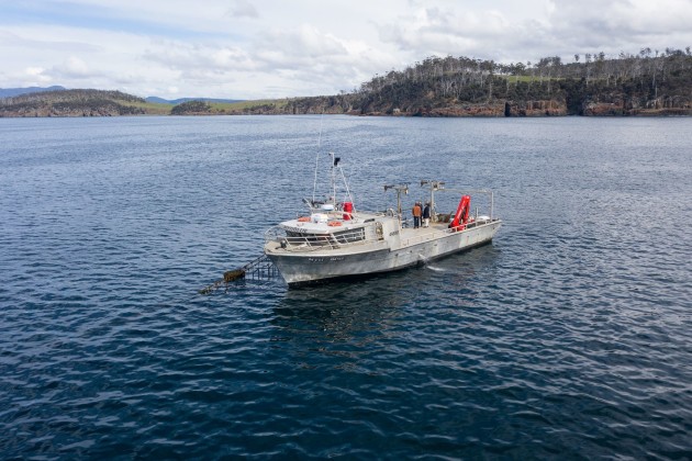 Methane-reducing feed additive developer Sea Forest is set to debut on the ASX on 26 November 2025 after completing a fully underwritten $20.5 million Initial Public Offering. The float values the Tasmanian company at approximately $112.1 million at the offer price of $2.00 per security. (Image source: Sea Forest)