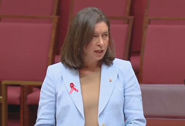 Senator Susan McDonald addresses the senate over CASA's rejection of the RRAT recommendation on Angel Flight maintenance requirements. (still from Parliament House feed)