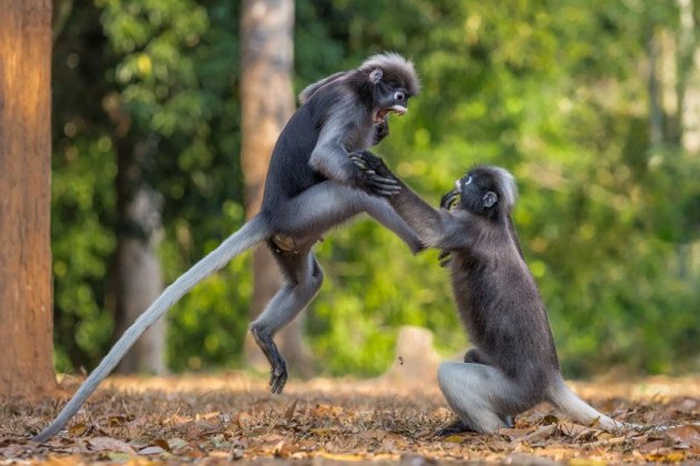 This is Sparta! &copy; Sergey Savvi.