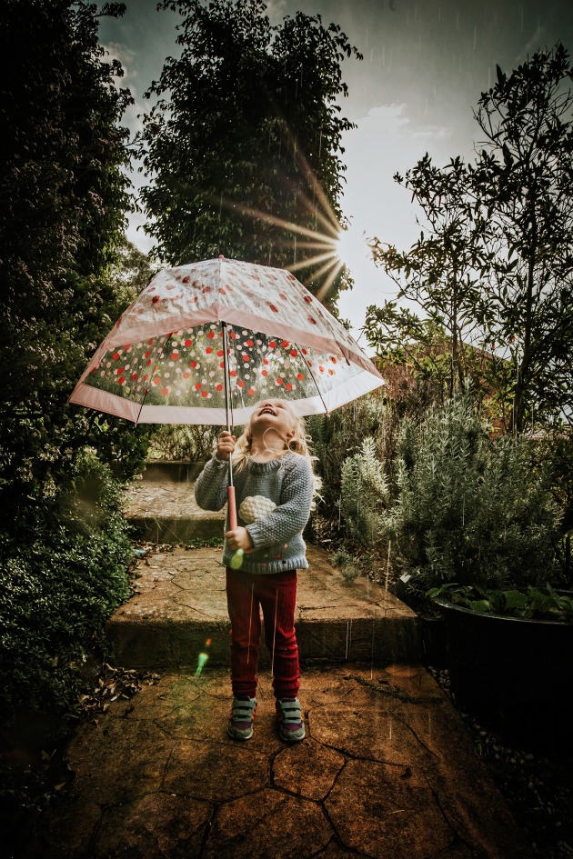 &copy; Shelley Reis