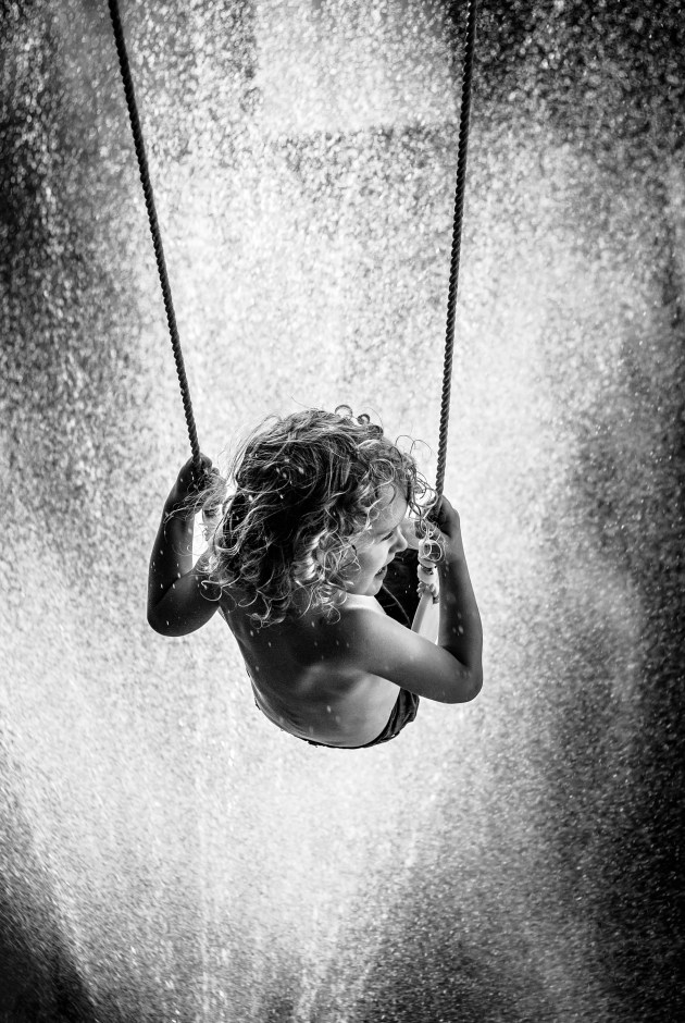 &copy; Shelley Reis