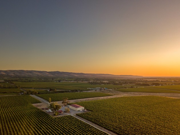 Endeavour Group has acquired Shingleback Wine in McLaren Vale, South Australia. The winery, established in 1997, is the latest edition to the group&rsquo;s premium wine portfolio, Paragon Wine Estates. (Image: Endeavour Group)