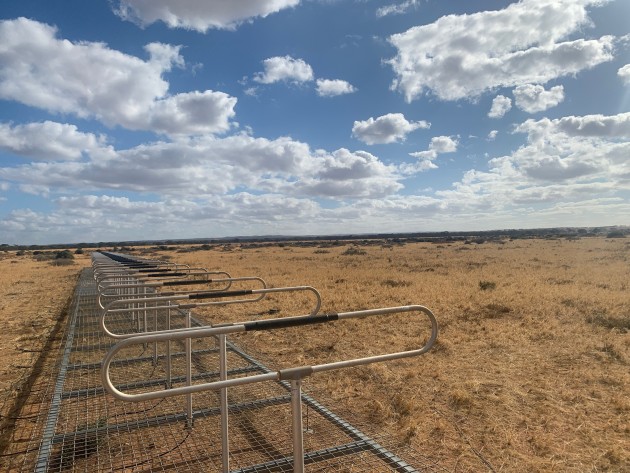 MAVERICK S-series passive radar deployed at the Silentium Defence Space Observatory in remote South Australia. (Silentium)
