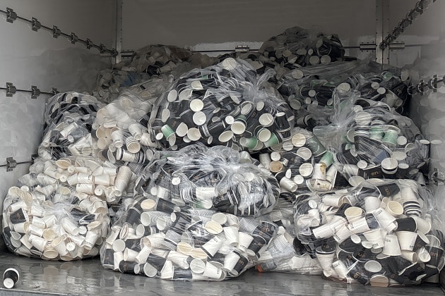 Collection of paper cups saved from landfill.