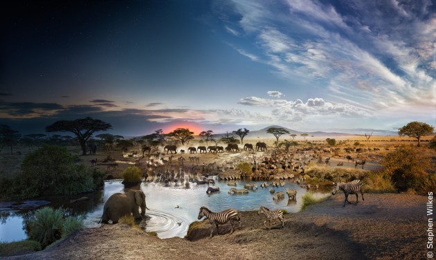 &copy; Stephen Wilkes. Serengeti National Park, Tanzania, Day to Night, 2015. Edition 33/50. Stephen Wilkes has built an unprecedented body of work and a reputation as one of America&rsquo;s most iconic photographers, widely recognized for his fine art, editorial and commercial work. Day to Night, Wilkes&rsquo; most defining project, began in 2009. These epic cityscapes and landscapes, portrayed from a fixed camera angle for up to 30 hours capture fleeting moments of humanity as light passes in front of his lens over the course of a full day. Blending these images into a single photograph takes months to complete.