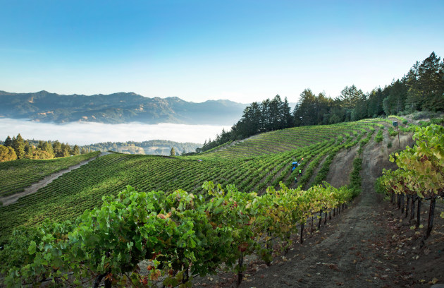 Sterling vineyard.