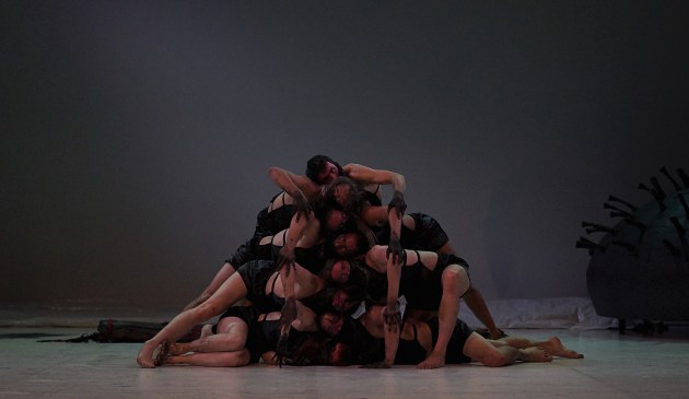 A scene from ADT's 'Supernature'. Photo: Sam Roberts Photography.