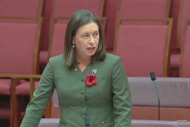 Nationals Senator Susan McDonald from Queensland. (still from APH feed)