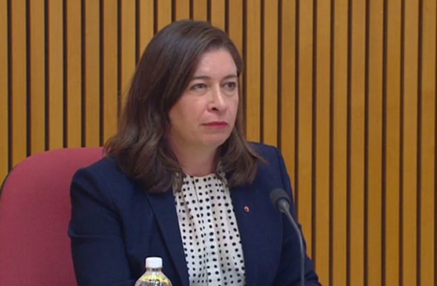 Nationals Senator Susan McDonald chairs the RRAT estimates hearing on 20 October 2020. (still from Parliament House feed)
