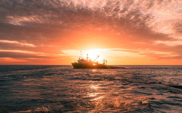 Austrade Australian Export Awards 2024: Sustainability and Green Economy finalist, Austral Fisheries. 
(Source: Austral Fisheries)
