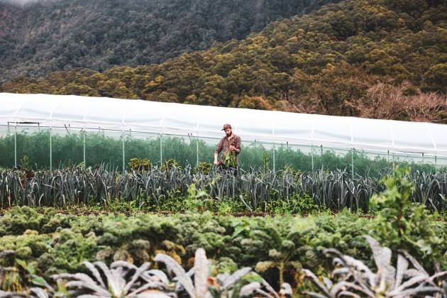Byron Bay brewery, Stone & Wood, is sponsoring the inaugural Grounded Australia festival, which will be held in Tasmania from 4-5 December.
Source: Stone & Wood
