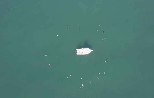 Aquabotix SwarmDiver is an underwater UUV swarm that can gather data.
Aquabotix