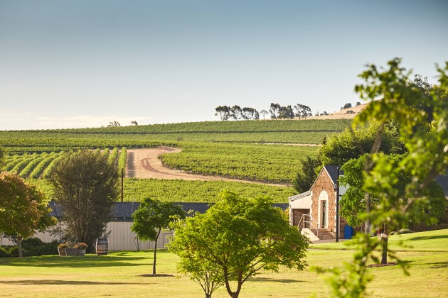 For more than 50 years, Taylor's Wine has produced some of Australia&rsquo;s most recognised premium wines, winning awards both here and overseas. 
Source: Taylor's Wine