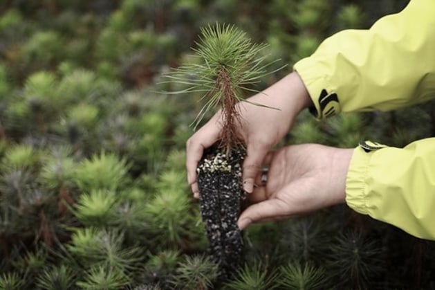 Tetra Pak reports packaging R&D investment and lower emissions in FY25 sustainability report