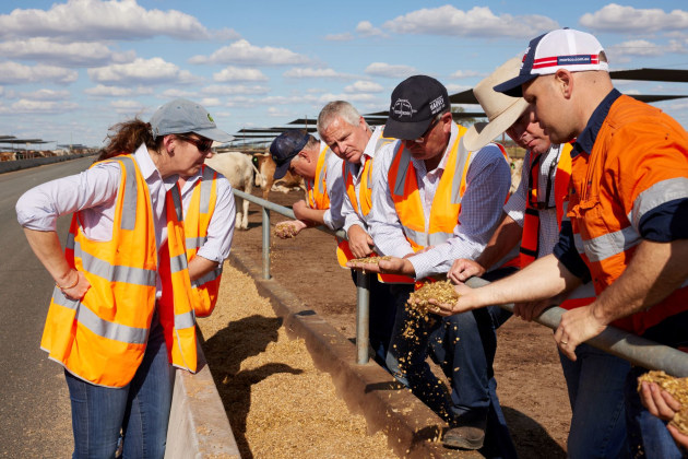 The Coles meat team and Mort & Co Grassdale manager Marcus Doumany (right) at Mort & Co Grassdale Feedlot. (Image source: Coles)
