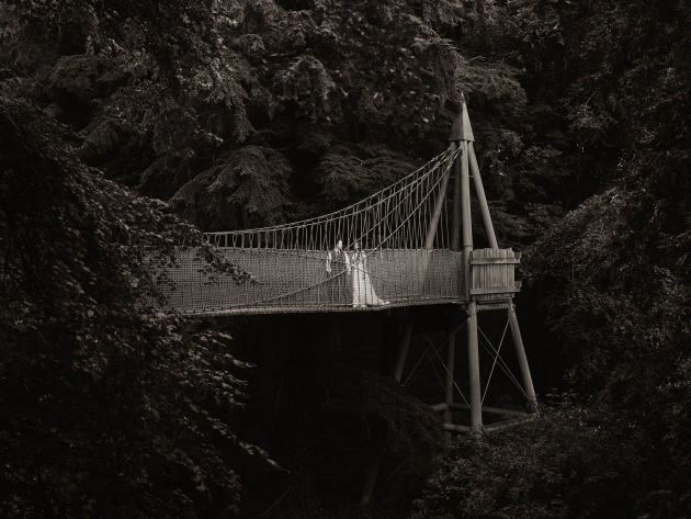 &copy; Scott Johnson