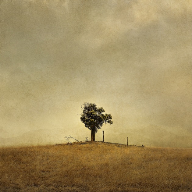 &copy; Tony Hewitt