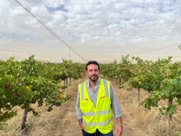 TWE director of wine and grape sourcing, Anthony Catanzariti, said the Koonunga Hill canopy was a "significant investment in climate adaptation in one of Australia&rsquo;s most significant growing regions, the Barossa Valley".