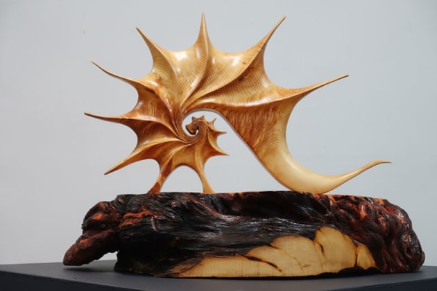 Trevor Irvine, Spiral Mirabilis, Huon pine, Huon pine burl. "Spiral Mirabilis (wonderful spiral) mirrors the growth spiral embodying the dynamic principles of regeneration and symmetrical and balances growth in nature. This sculpture is a replica of a fossil, which may have existed millions of years ago as a living organism. Looking through the window of time, who will read the vestiges of our lives, our waste and spoilage, in the stones made from our bones. Life has many choices and every move we choose impacts the future. Events such as sudden temperature changes, tidal waves, earthquakes, floods, wildfires and acid rain are creating modern day fossils the shape, colour and form of which can only be imagined. Spiral Mirablis is designed to be a reminder of the small part humans play in this evolutionary process."