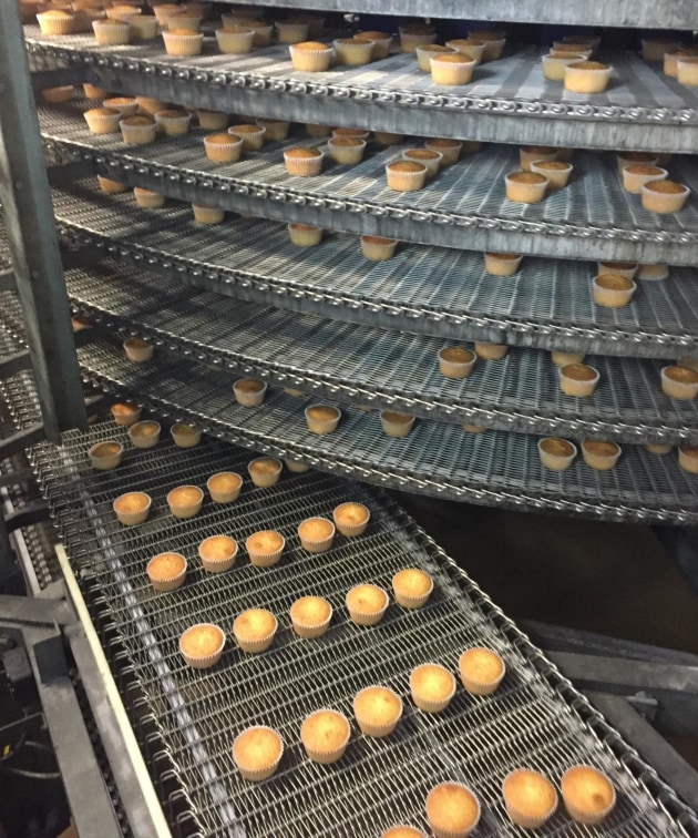 Spiraflo Side Drive Spiral Conveyor.
(Image supplied: FlexCAM)