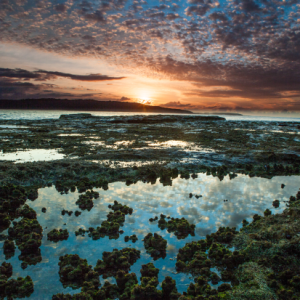 Image: Mick Fletoridis