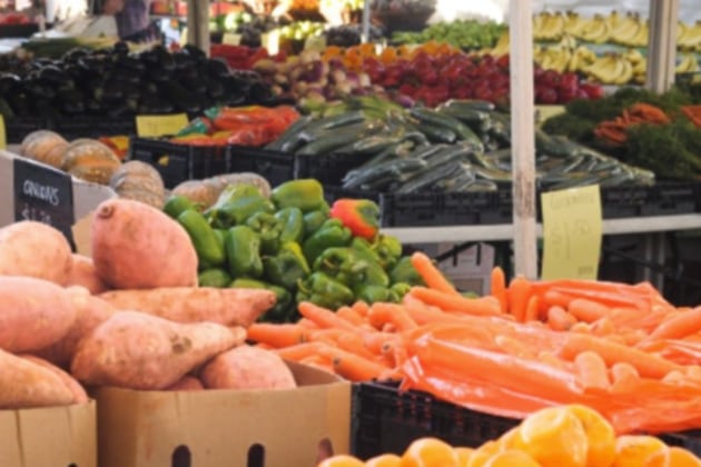 The commencement of the Middle East conflict at the end of February had an immediate and severe impact on vegetable growers.